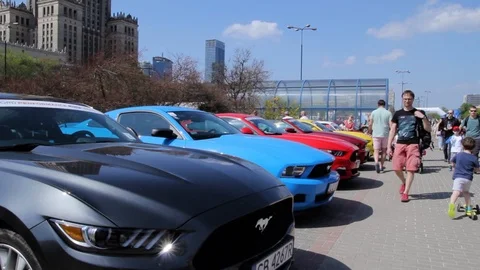 Mustangs Lined Up On A Ford Show Stock-Footage 88921173