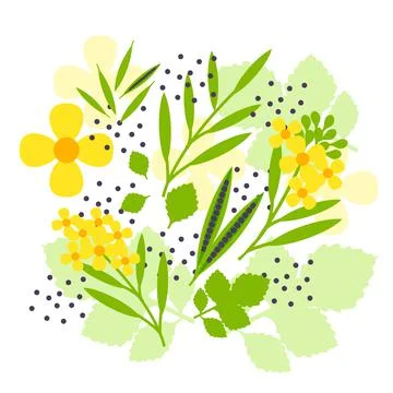 Mustard and seeds elements abstract vector design background Illustrazione stock