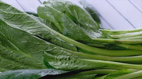 Mustard Greens Stock-Footage 90222452