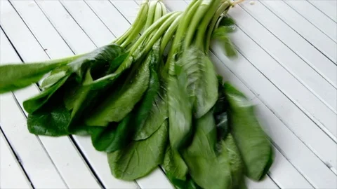 Mustard Greens Stock Footage 90223796