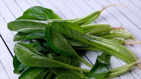 Mustard Greens Stock Footage 90223903