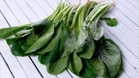 Mustard Greens Stock Footage 90224058