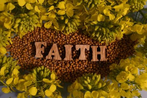 Mustard parable Stock Photos