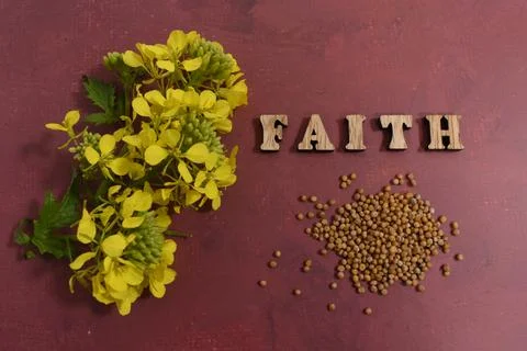 Mustard parable Stock Photos