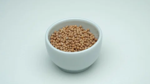 Mustard Seeds inside small rotating cup (loop) Stock Footage