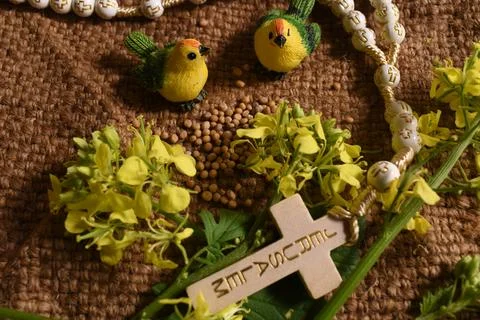 Mustard seeds parable Stock Photos