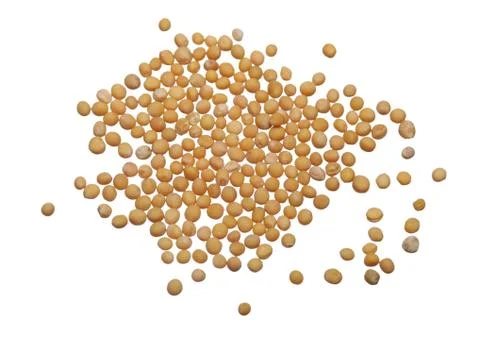 Mustard seeds Stock Photos
