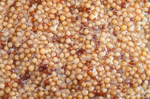 Mustard texture close up Stock Photos