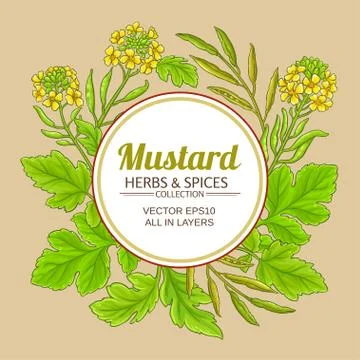 Mustard vector frame Stock Illustration