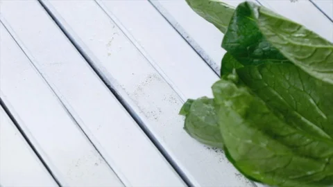 Mustard Vegetables Stock Footage 90223794