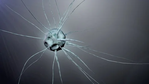 Mutant cell , DNA manipulation Stock Footage 73319481