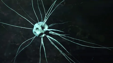 Mutant cell Stock Footage 73319542