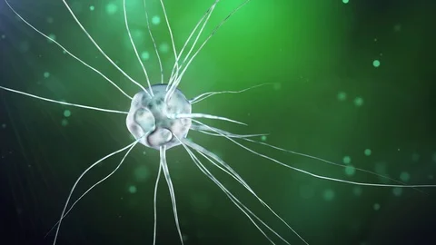 Mutant cell , Genetic engineering Stock Footage