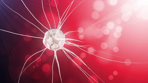 Mutant cell red Stock Footage 73319535