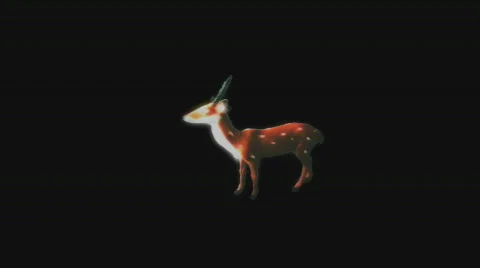 Mutant  stag deer -2 Stock Footage 841758
