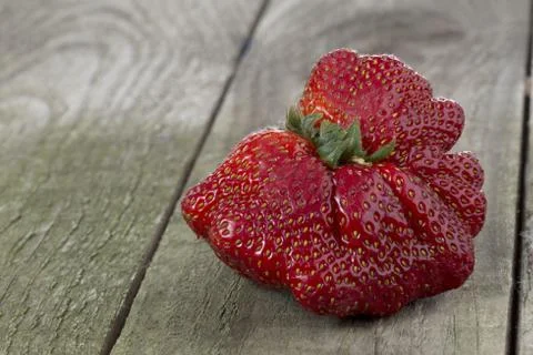 Mutant strawberry Stock Photos