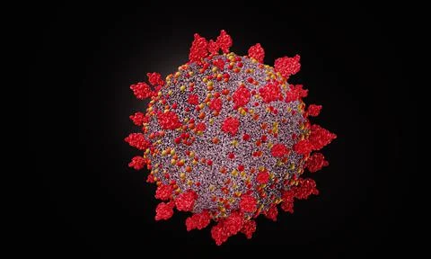Mutation model of Covid-19 virus or Coronavirus. Close-up virus for example.  Stock Illustration