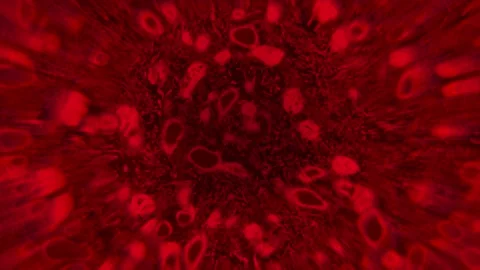 Mutation Organic Red Loop Seamless Background Stock Footage 147674193
