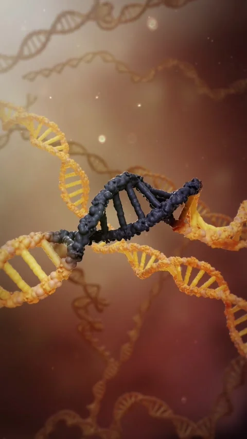 Mutations in gene chains lead to cancer cell proliferation Stockbeeldmateriaal 344954641