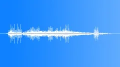 Mute Swan Running Over Sound Effect