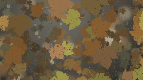 Muted autumn leaves fall and drift behind a rain-streaked window in this cozy Stock Footage 345376123