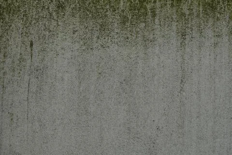 Muted Green to Light Grey Abstract Granular Surface Texture Background Weat.. Stock Photos