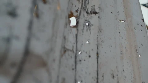Mutilated fence with shrapnel Stock Footage 261470656