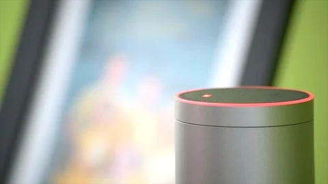 Muting Amazon Echo Stock Footage 90759499