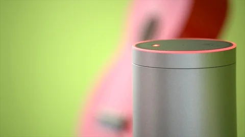 Muting Amazon Echo Stock Footage 90889695