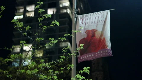 Mutter Museum flag at night, Philadelphia PA Stock Footage 141210426
