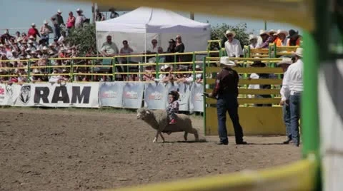 Mutton Buster Stock Footage 21198259