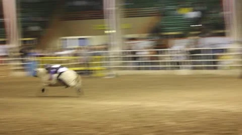 Mutton busting Stock Footage 11638194