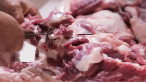 Mutton Cuisine Stock Footage 308229970