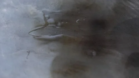 Mutton Galouti Kabab Stock Footage 133102937