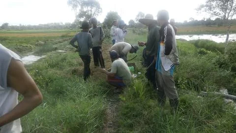 Mutual cooperation 写真素材