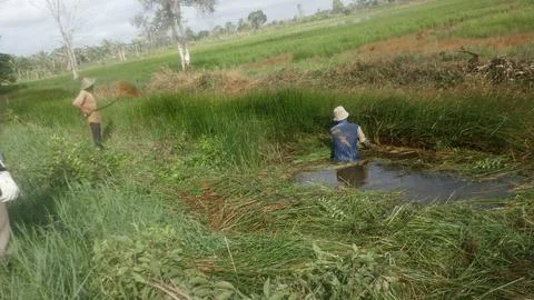 Mutual cooperation Stock Photos