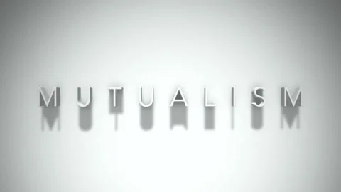 Mutualism 3D title animation with shadows on a white background Video stock 296513964