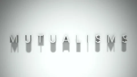 Mutualisms 3D title animation with shadows on a white background Video stock 296513922