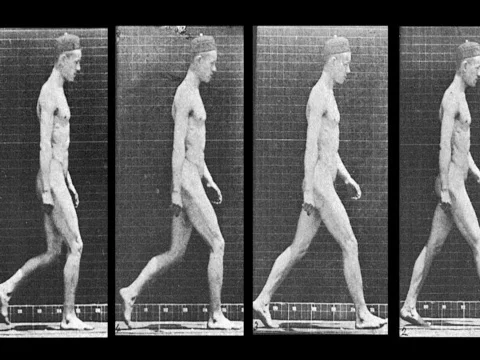 Muybridge Man Walking Видео 95978