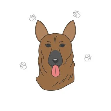 Muzzle of a dog breed German Shepherd Illustrazione stock