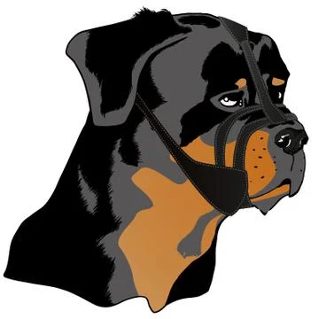 Muzzle dog Stock Illustration