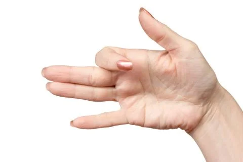 Muzzle dogs fingers Stock Photos