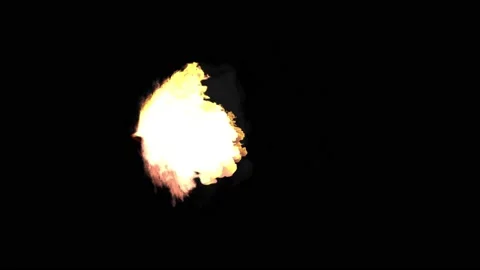 Muzzle flash 154 Stock Footage 221611748