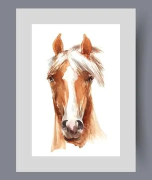 Muzzle of horse with mane swaying in wind and white spot on nose on print Stock Illustration