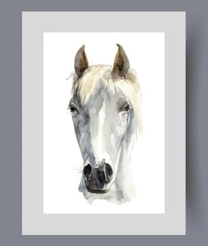 Muzzle of white horse with light bangs between large ears on poster. Watercolor Stock Illustration