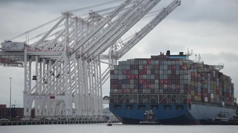 M/V Dali container ship floating and moving below dockside cranes Stock Footage 275892535