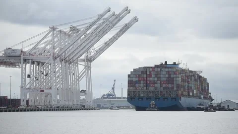 M/V Dali container ship floating and moving under dockside cranes Stock Footage 275892537