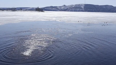 MVI 0055 Stock Footage 89168197