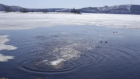 MVI 0057 Stock Footage 89168182