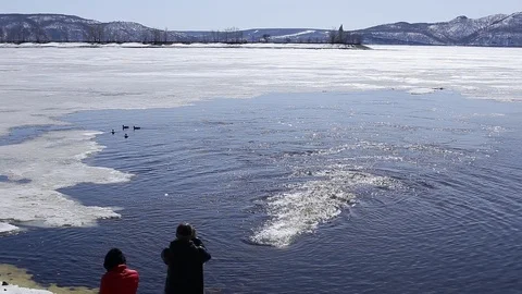 MVI 0058 Stock Footage 89168228